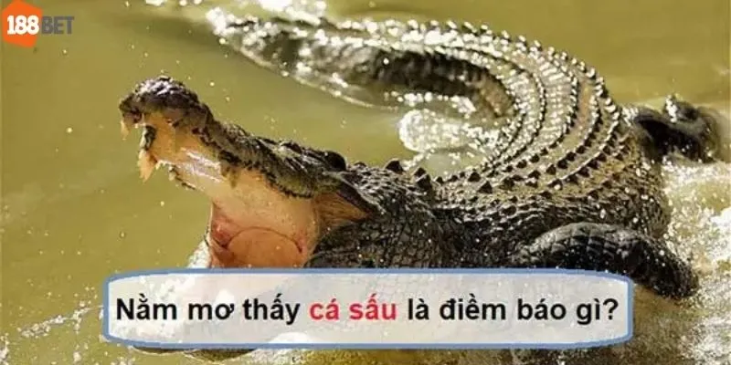 Mơ Thấy Cá Sấu - Chọn Số Đẹp Theo Giấc Mộng Linh Thiêng
